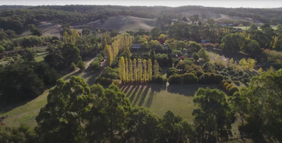 Pure Lavender, Timeless Farm Magic